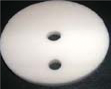 401316413841 SP9 Alumina Disc